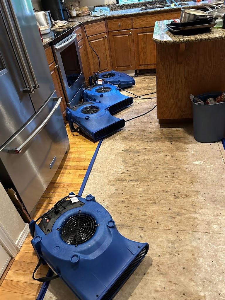 Expert Restoration, LLC