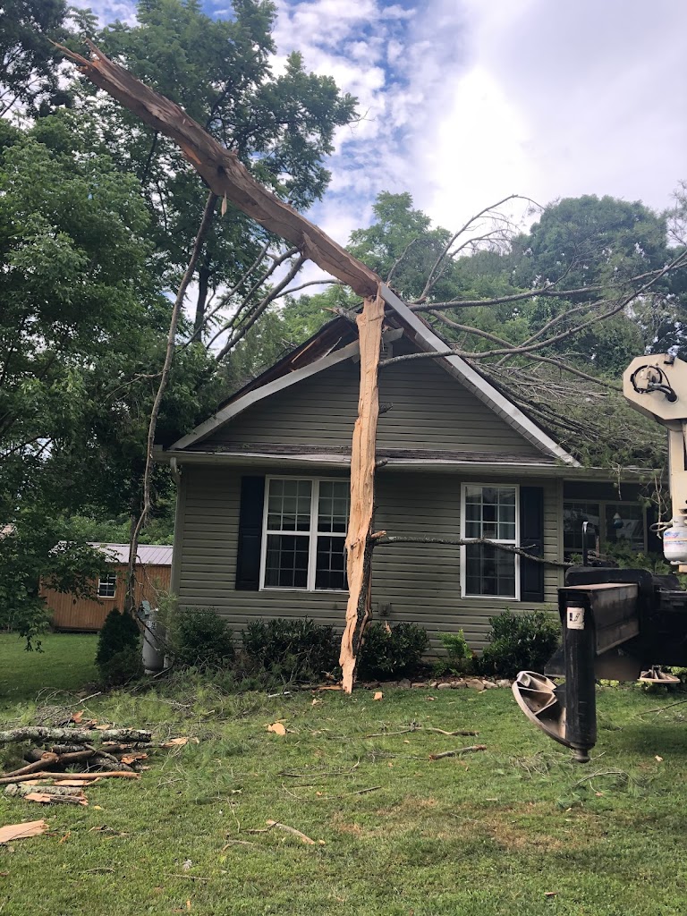 Lightning Restoration of the Carolinas