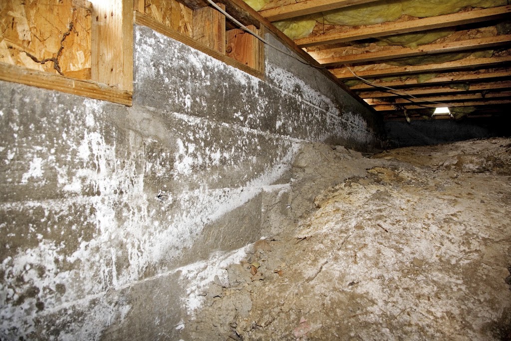 Crawl Space Solutions - Crawl Space Repair & Mold Remediation Services