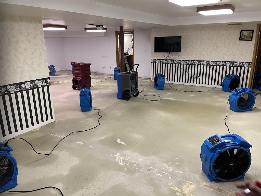 Rapid Dry Water Damage Restoration Kansas City