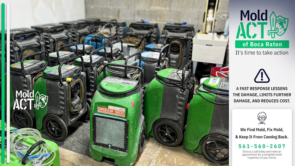 Mold Act of Boca Raton