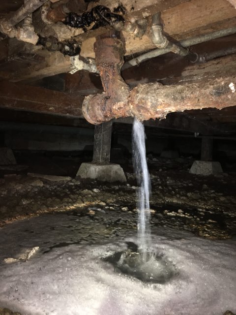 The Water Damage Experts, Incorporated