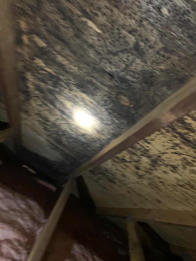 Bold Mold Eliminators LLC