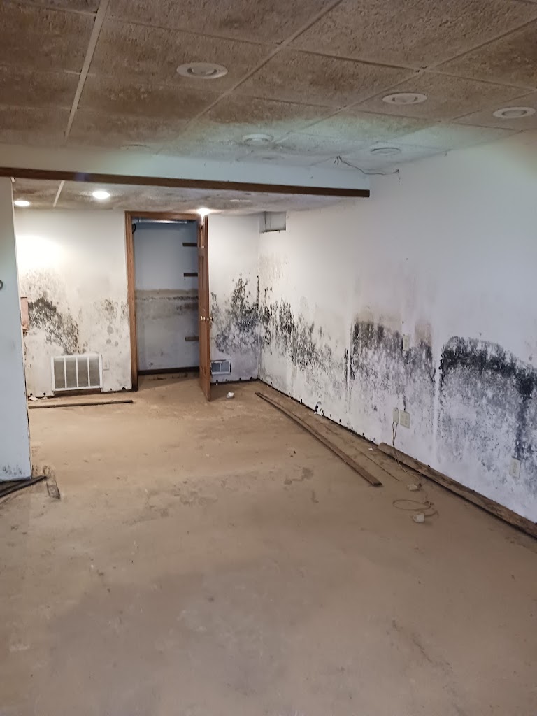 920 Restoration & Mold Remediation