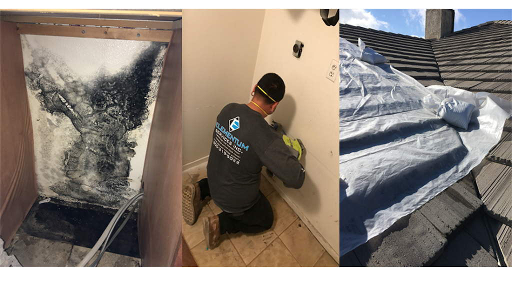 Elementum Services Inc.