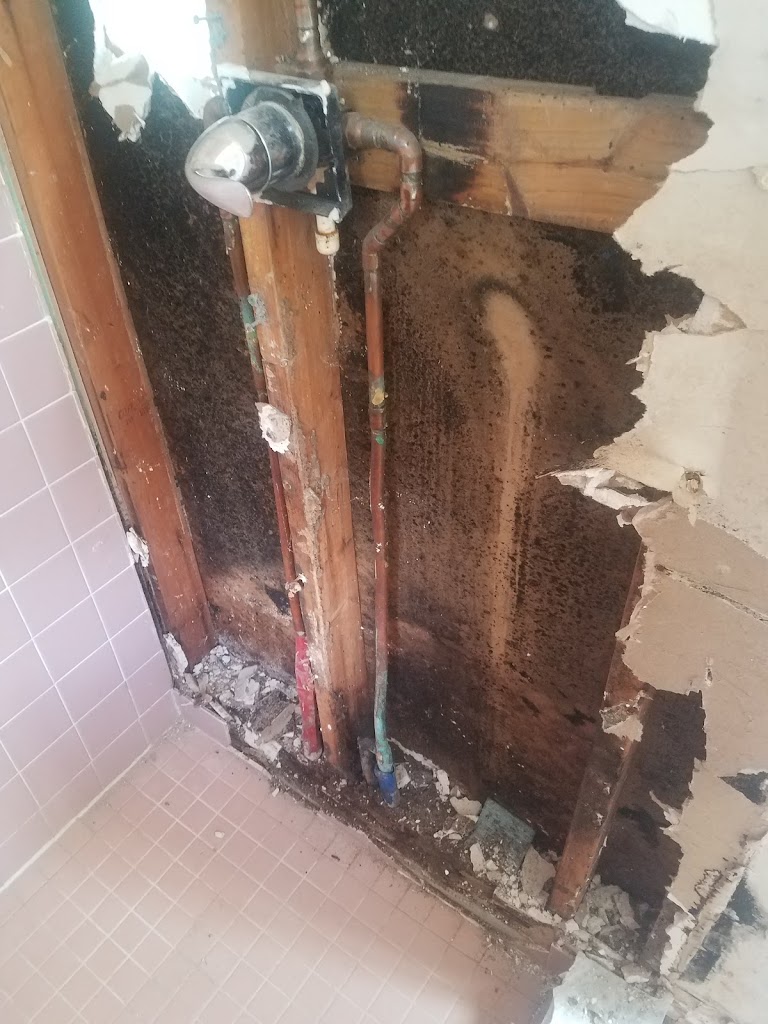 Joe Taylor Restoration - Central Florida East