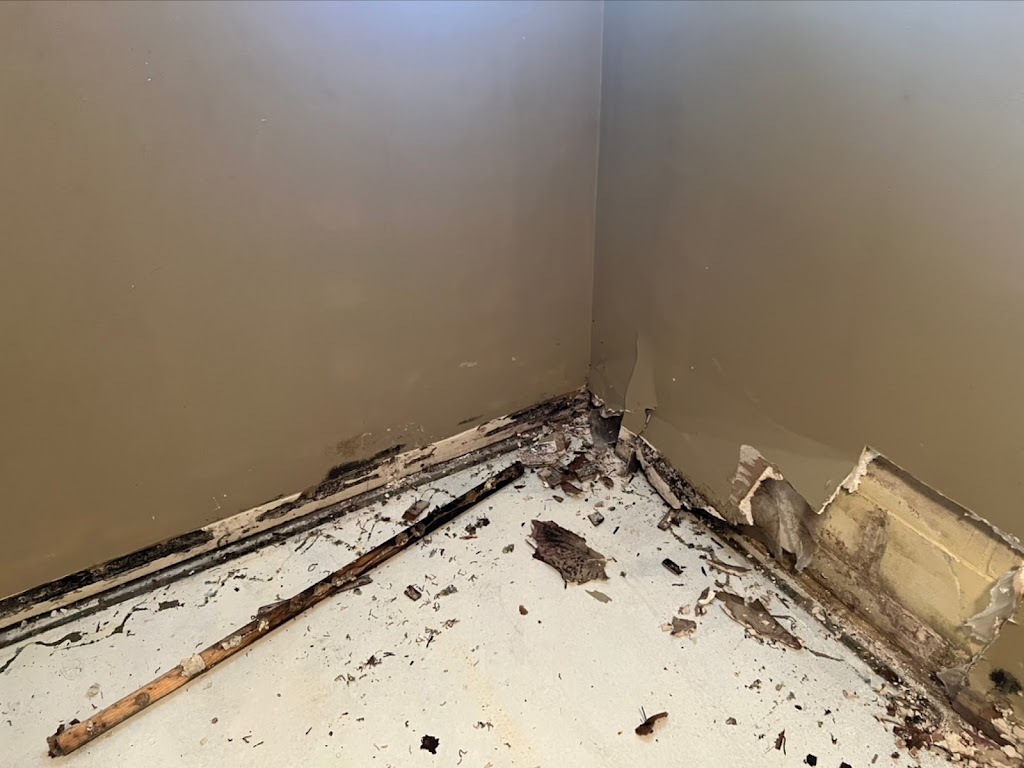 AdvantaClean of Omaha