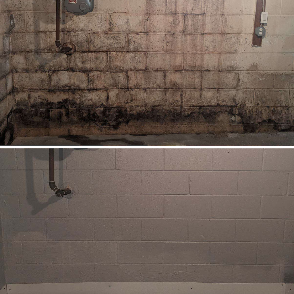 Comprehensive Mold Management