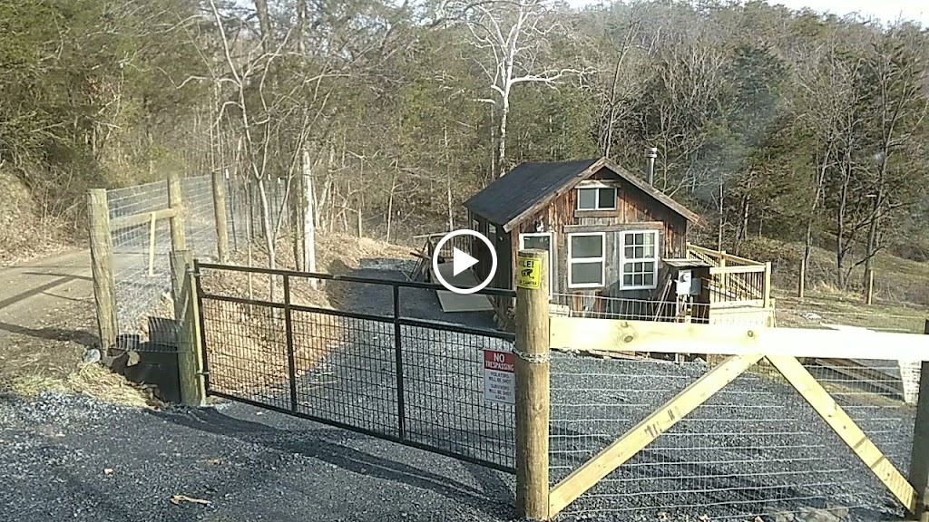Videos