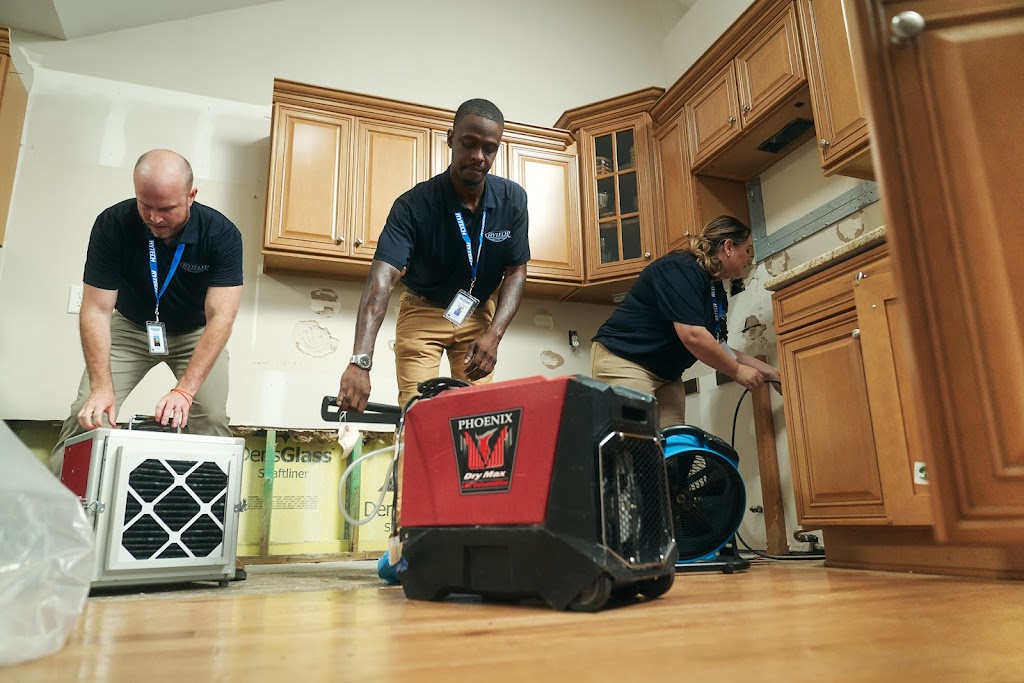 Rytech Orlando