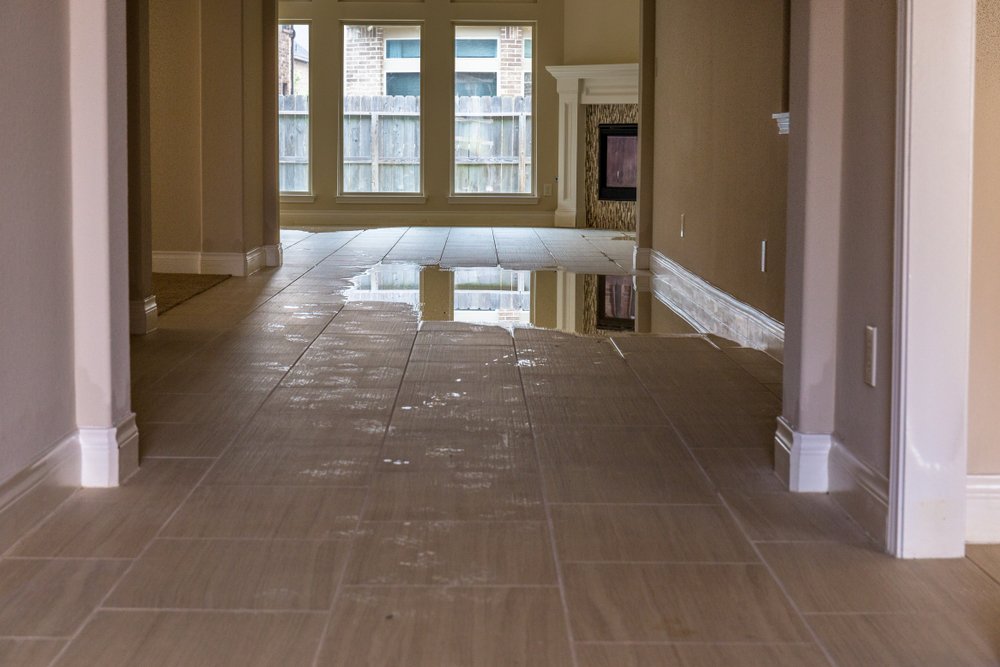 VRTX Water Damage Restoration Lakeland