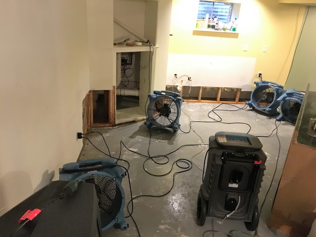 Bewise Master, Inc Clean up & Restoration