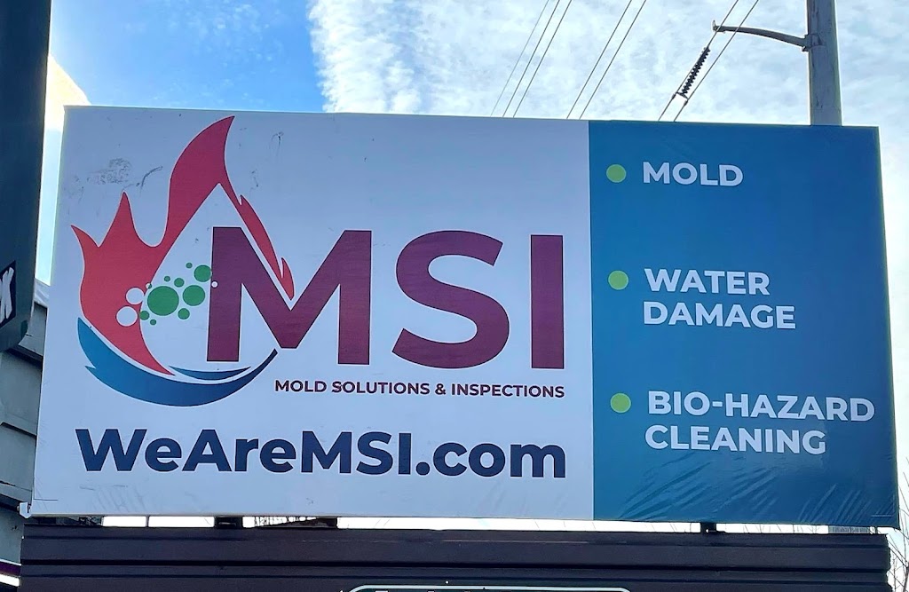 Mold Solutions & Inspections