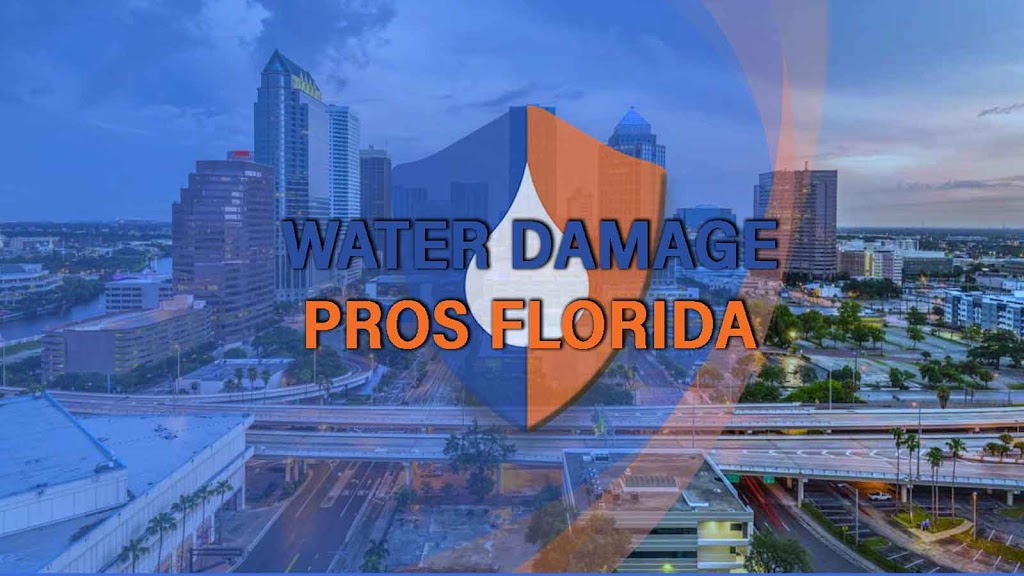 Water Damage Pros FL
