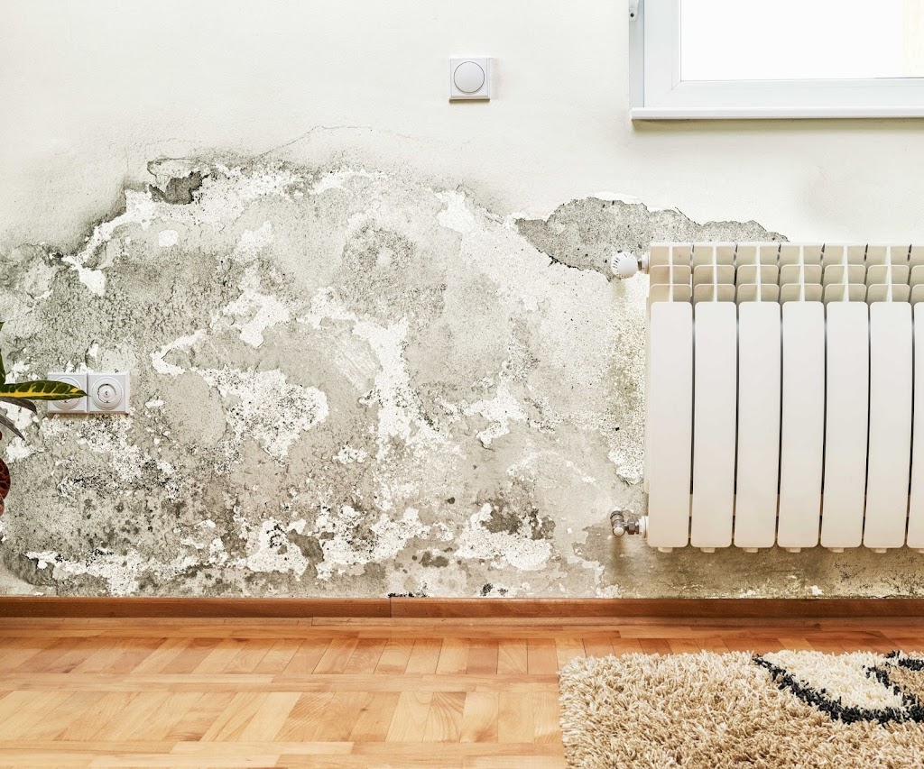 Fast Response Restoration