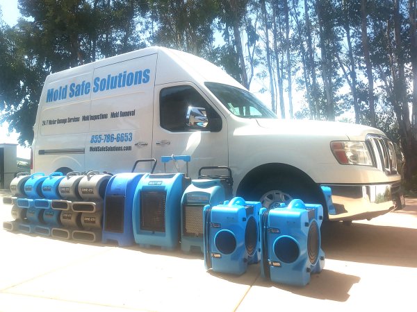 Mold Safe Solutions