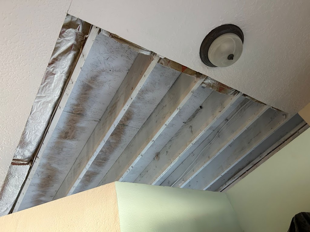 Mold Busters New Mexico