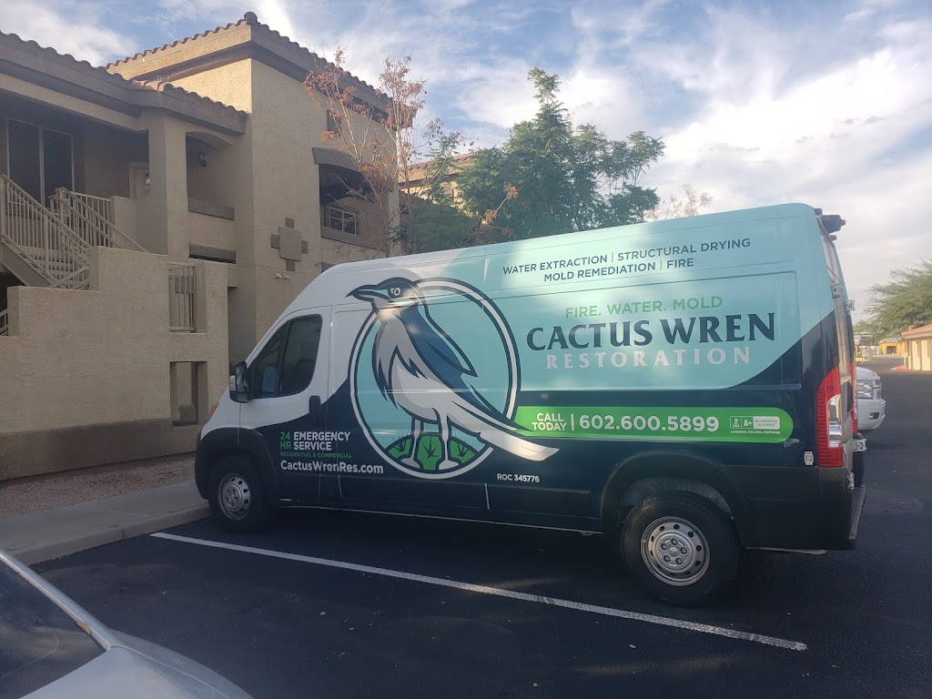 Cactus Wren Restoration - Water Damage Restoration Specialists