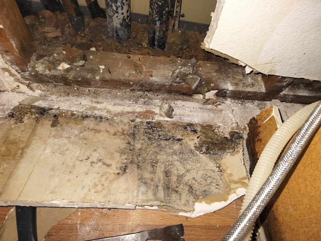 Pure Maintenance Arizona - mold testing & mold removal specialists