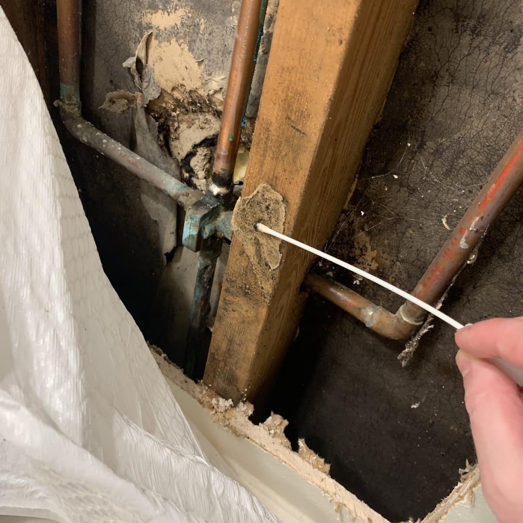 Affordable Mold Testing and Assessments