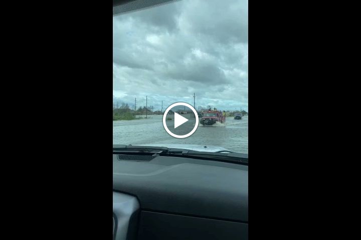 Videos
