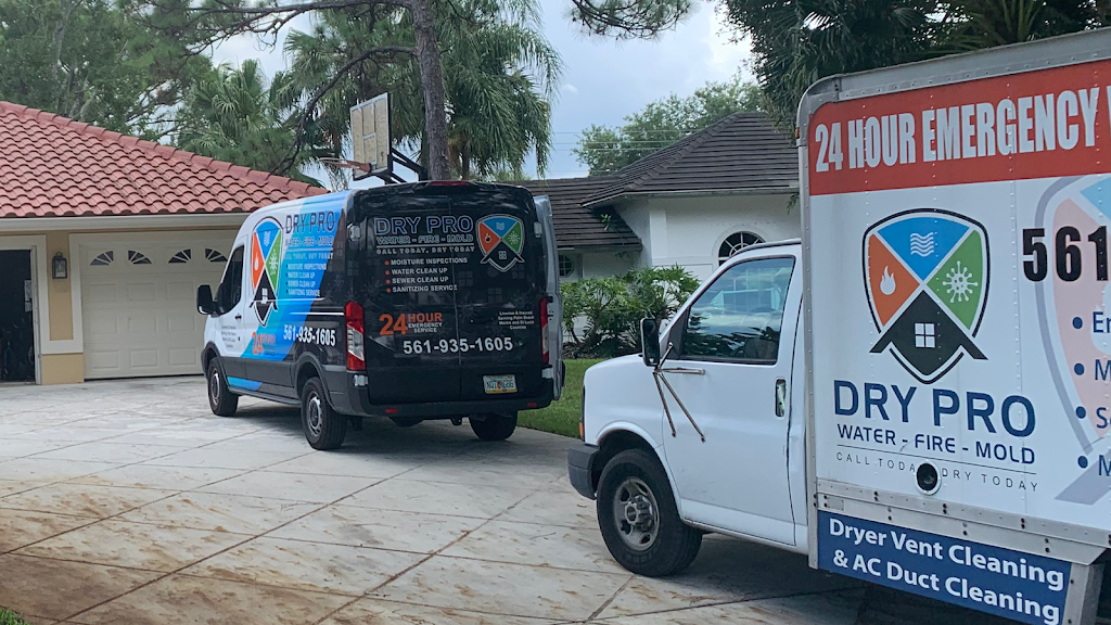 Dry Pro Water Fire Mold Inc