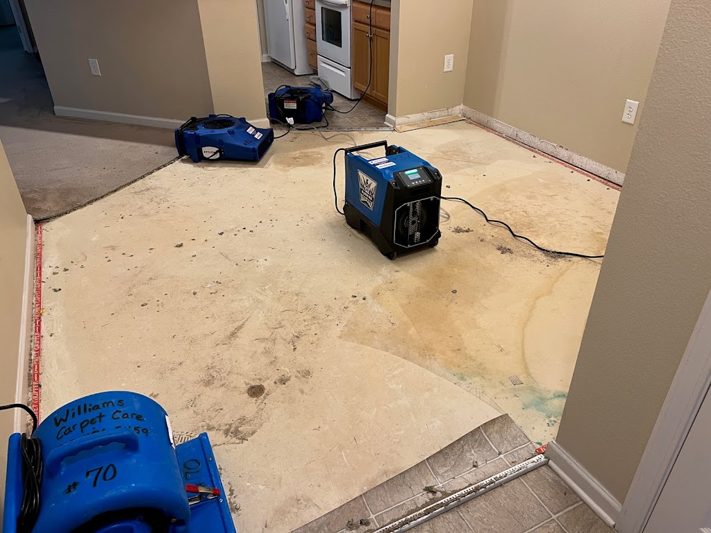 DryPro Water Damage Restoration