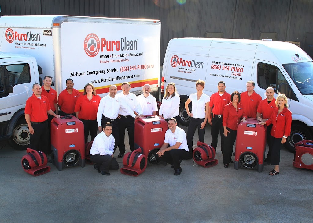 PuroClean Professional Services