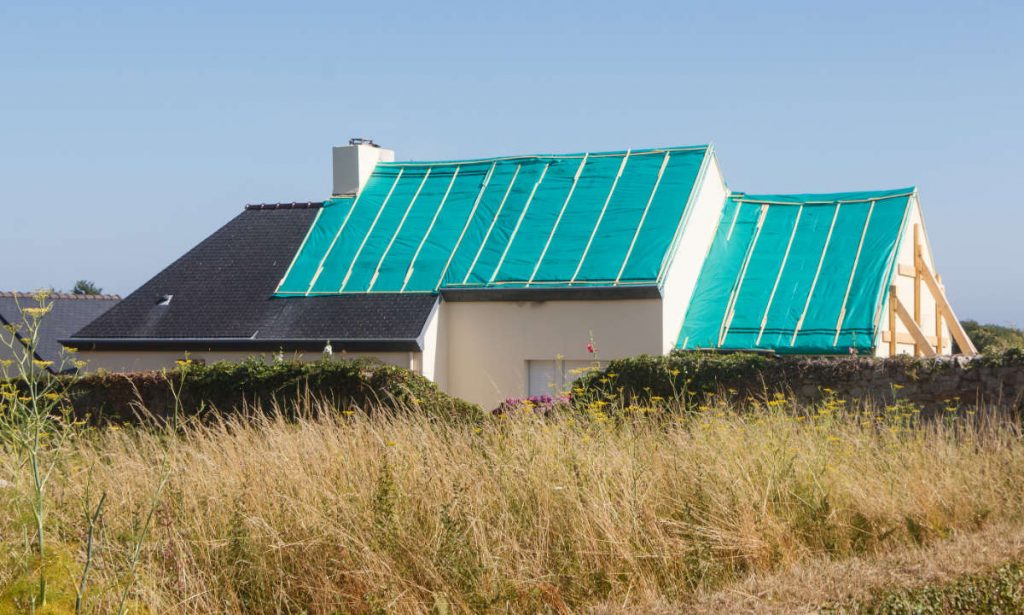 Going Green Restoration