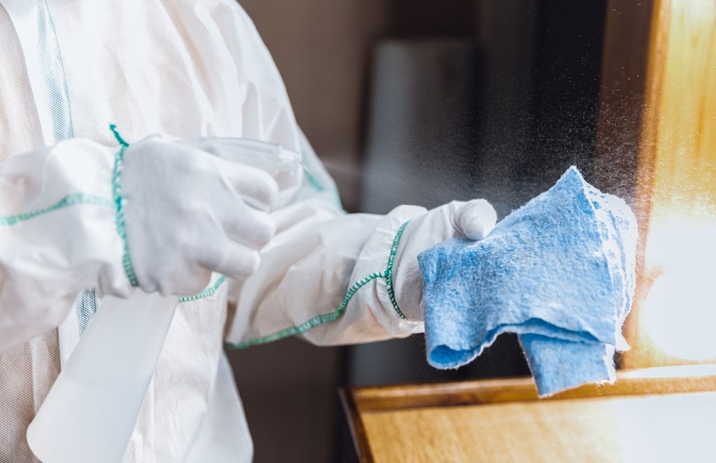 Mold Solutions of Albuquerque