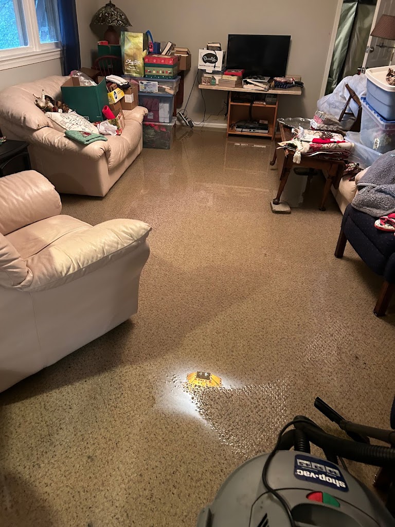 Ohana Water Restoration