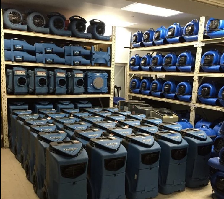 Royal Water Damage Repair Seattle