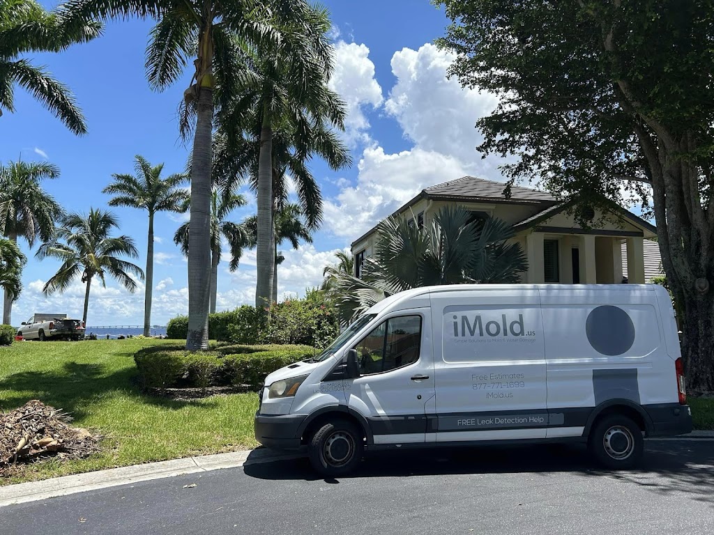 iMold Cleaning and Restoration