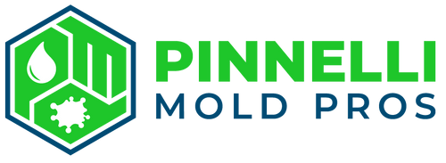 Pinnelli Mold Pros